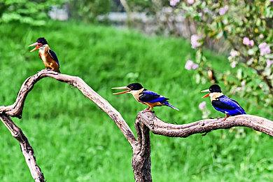 网传《GTA6》售价定为150美元 玩家们有点慌了